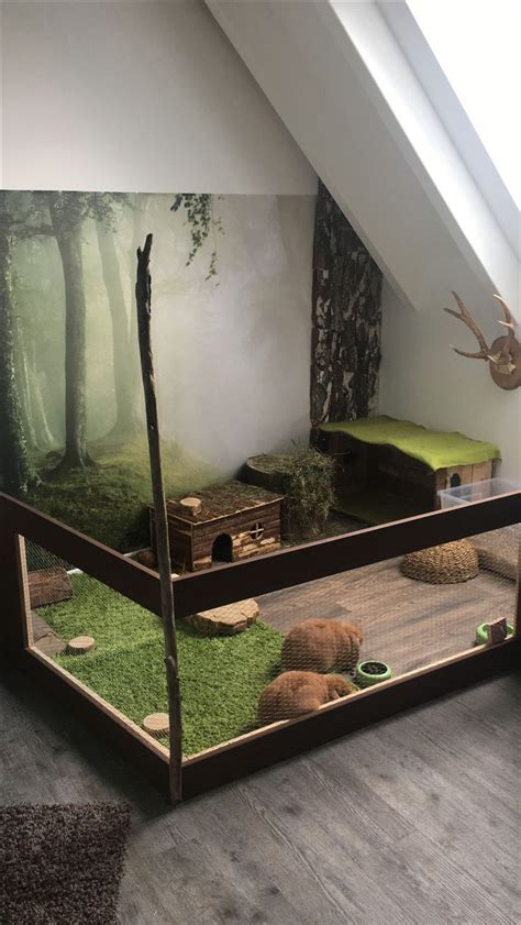 Another ideal outdoor rabbit hutch is this one from petsjoy. rabbit cage indoor | Indoor rabbit, Pet bunny, Bunny cages