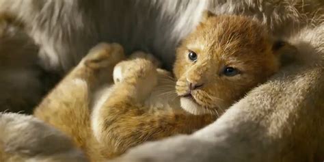 Watch The First Trailer For The Lion King Live Action Remake Pitchfork