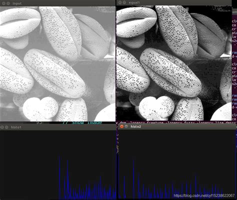 Opencv灰度图的直方图均衡化 Copencv Grayhisto Csdn博客