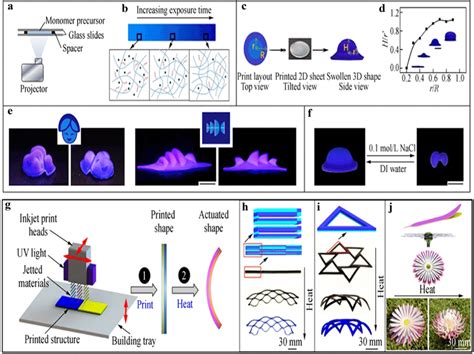 4d Printing By Digitally Defined Transformation And Direct 4d Printing