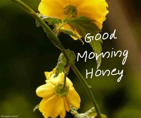 101 Good Morning Honey Wishes And Messages [ Best Hd Images ]