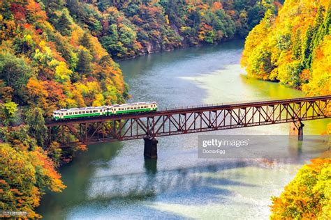 Tadami Line Train Running On The Bridge Across Tadami River In Autumn