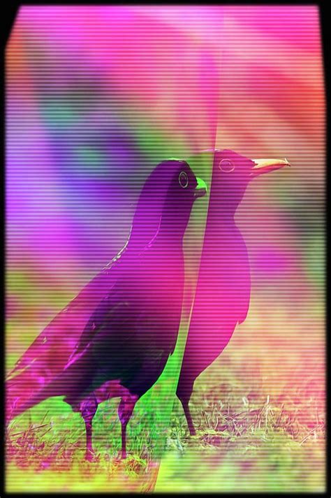 Trippy Bird Glitch Art Order Your High Quality Poster Or Print
