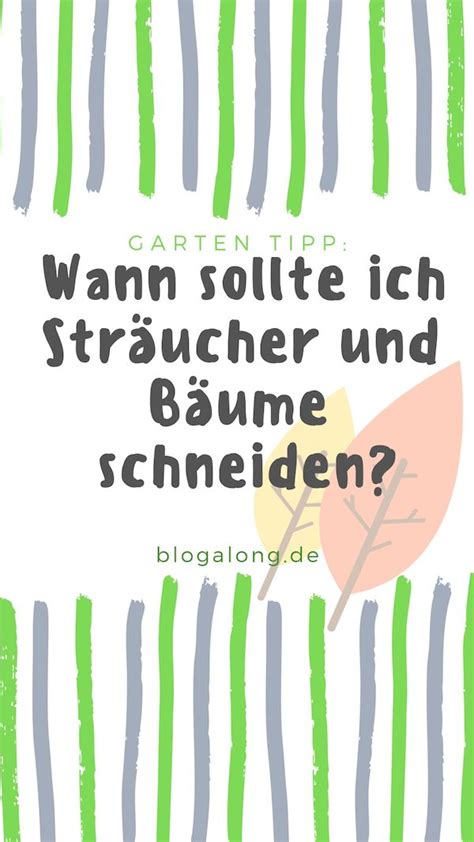Für den perfekten schnitt eines pflaumenbaumes ist der optimale zeitpunkt außerordentlich wichtig. Garten Tipp: Wann sollte ich Bäume und Sträucher schneiden ...