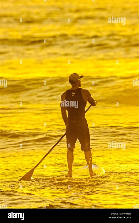 Stand Up Paddle Surfing Maui Hawaii Stock Photo Alamy