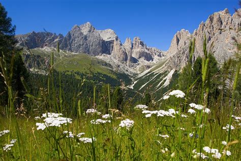 Il gruppo si occuperà di questo tesoro immerso nelle dolomiti. Val di Fassa: non perdete lo spettacolo del foliage di settembre GALLERY - Meteo Web