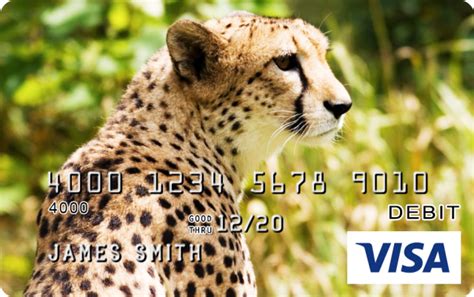 We did not find results for: Cheetah Design CARD.com Prepaid Visa® Card | CARD.com