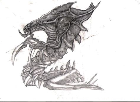 Zerg Hydralisk Sketch By Nebulonb100 On Deviantart