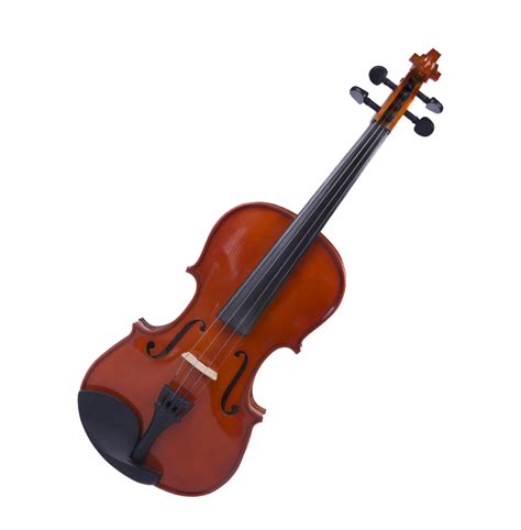 Viola