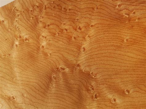Bird's eye maple veneer with stripes pattern natural wood | Etsy