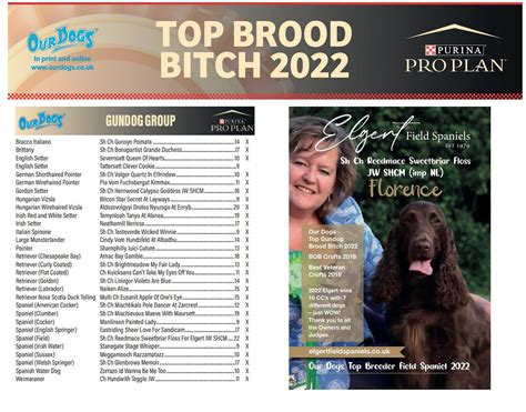 Our Dogs Top Gundog Brood Bitch 2022 And Top Breeder Field Spaniel
