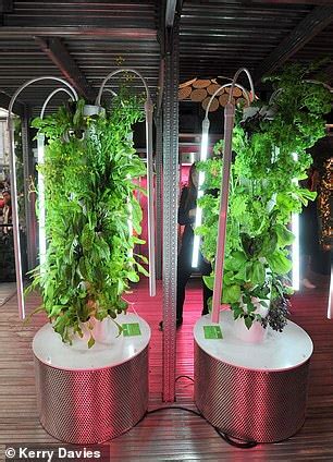 Check spelling or type a new query. Chelsea's garden of the future: Plants grow with no soil ...