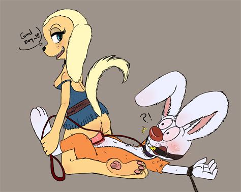 Rule 34 Anthro Ass Blush Bound Brandy And Mr Whiskers Brandy And Mr