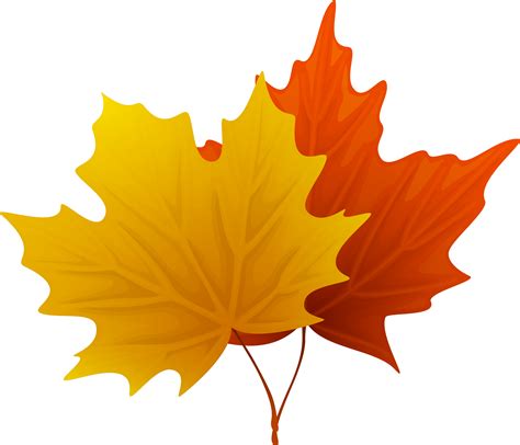 Fall Leaf Png 10 Free Cliparts Download Images On Clipground 2024