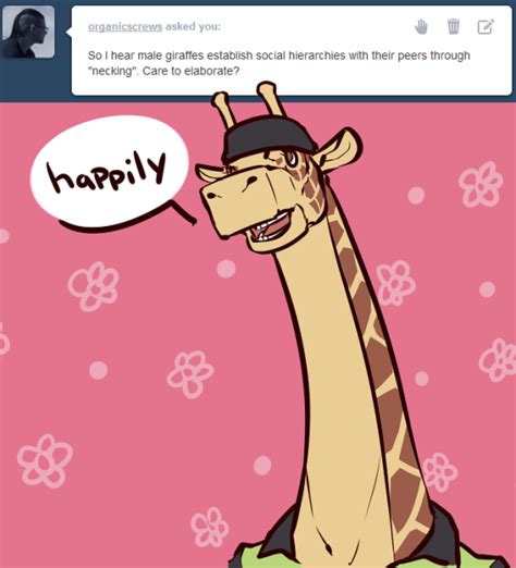 Ask Lucci Lucci Funny Memes Giraffe