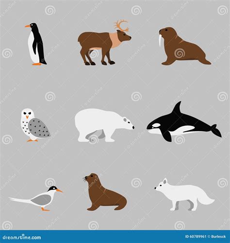 Set Of Flat Antarctic Animals Silhouettes Polar Bear And Penguin