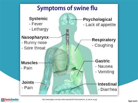 Symptoms Of Swine Flu