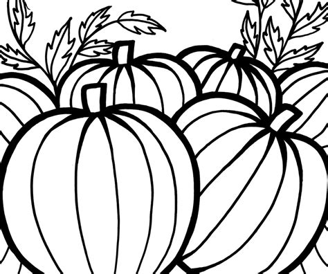 Lots of fun pictures for kids, and harder designs for big kids our printable pumpkin coloring sheets are sure to keep the little ones busy before they head out trick or treating, or as a cosy activity on a cold afternoon! Pumpkins Coloring Pages To Celebrate Thanksgiving | Team ...