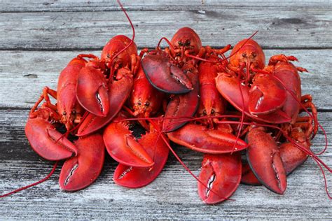 Nova Scotia Officially Declares February 28 As Lobster Day