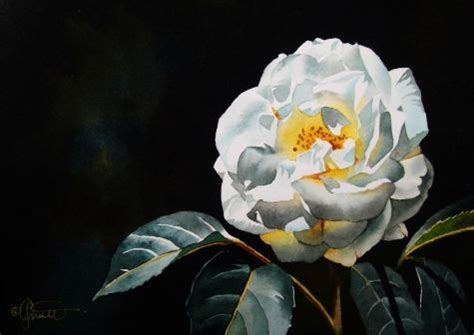 White Wild Rose Painting By Artist Jacqueline Gnott Daily Painting