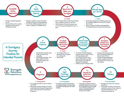 Surrogacy Timeline in 2020 (With images) | Surrogacy, Egg ...
