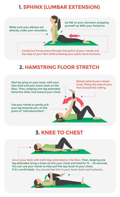 Back Pain Exercises X3 Stretches Body Balance Physical