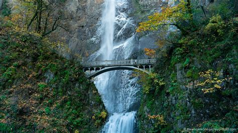 The 9 Best Waterfalls Near Portland The Whole World Is A Playground