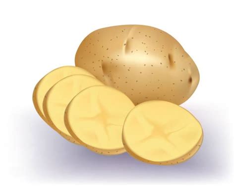 Royalty Free Boiled Potato Clip Art Vector Images