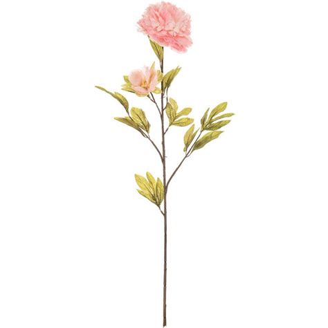 Check spelling or type a new query. White Peony Stem | Hobby Lobby | 698738 | Pink hydrangea ...
