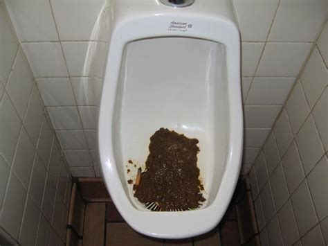 Poop Nuggets 3 19 2020 Rate Please Ratemypoo