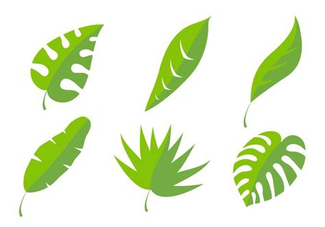 Palm Leaf Vectors Download Free Vector Art Stock
