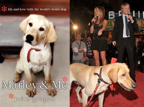 Marley & me is a cheerful family movie about a young couple starting out in life with a new house, new jobs, a new dog and then three children, who the dog doesn't eat, or the movie wouldn't be rated pg. Did You Read Marley & Me? | POPSUGAR Pets