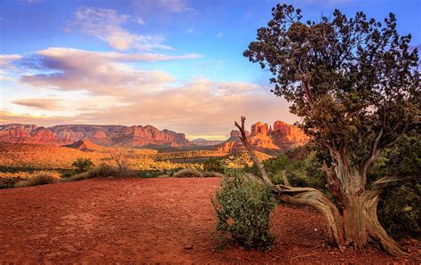 Sunset At Cathedral Rock Photograph By Alexey Stiop Fine Art America
