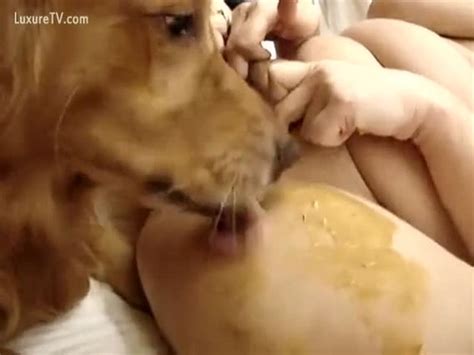 Dog Licking Snatch