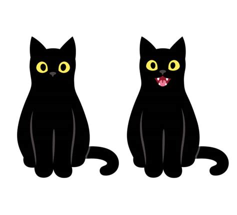 Drawing Of The Black Cat Sitting Illustrations Royalty Free Vector