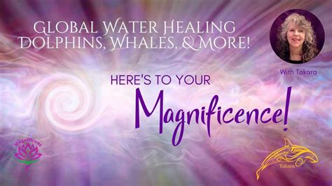 Global Equinox Water Healing Meditation Dolphins Whales And More🌺