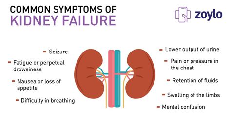 Kidney Issues Symptoms Fingernipod