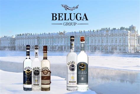 The russian standard vodka is produced using a traditional siberian recipe, which makes its taste pure and authentic. BELUGA | Beluga vodka, Vodka, Beluga