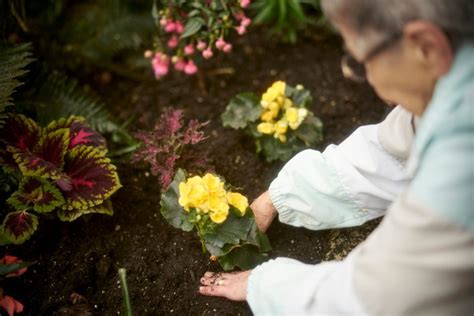 Gardening For Seniors All Year Round Parc Retirement Living