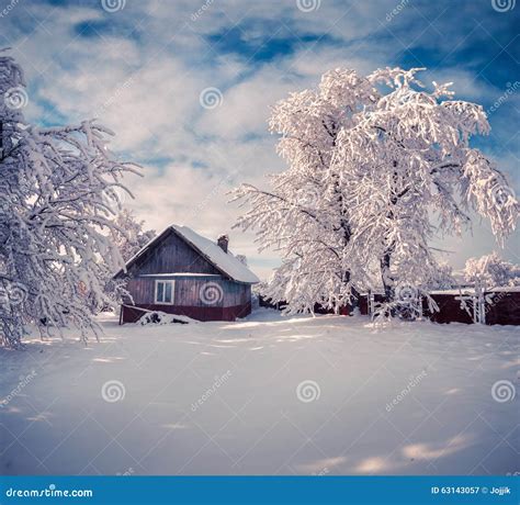 Winter Fairytale Heavy Snowfall Covered The Trees And Houses In Stock