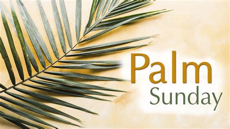 11am Palm Sunday Worship Arcola United Methodist Church