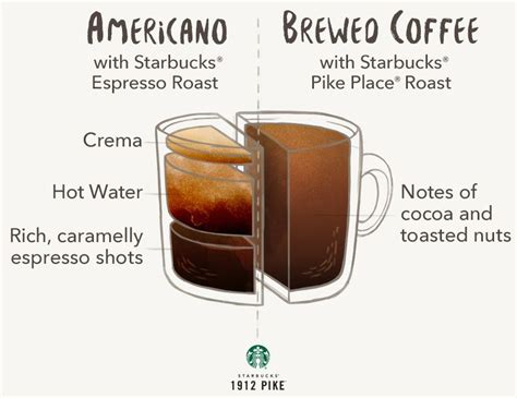 Savor The Differences Between The Two Distinct Brews Drip Brew Coffee