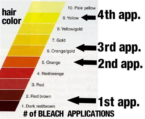 Briefly how to bleach hair properly? Pin by Yvette Frontany on Beauty | Bleaching dark hair ...