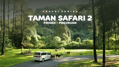 Taman Safari Indonesia 2 Youtube