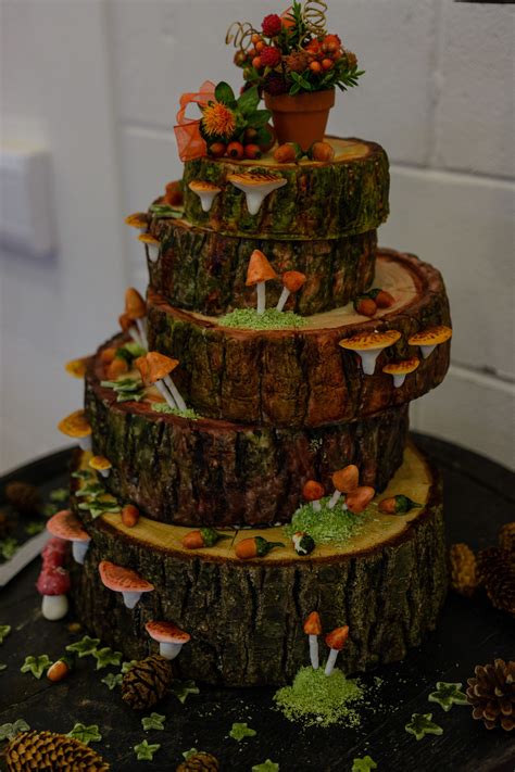 My Wedding Cake Made By Myself On The Theme Of Wood And Autumn