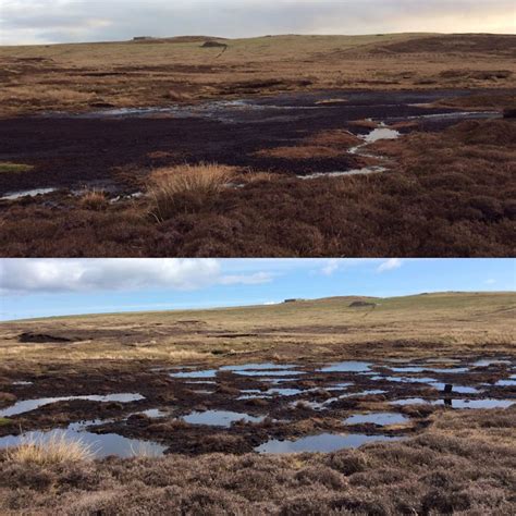 Peatland Restoration At Sandy Loch Shetland Amenity Trust