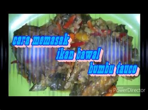 Ikan nila merupakan salah satu jenis ikan yang banyak dikonsumsi oleh masyarakat indonesia. Cara memasak ikan bawal bumbu tauco - YouTube