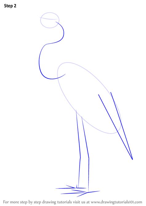 How To Draw A Great Blue Heron Birds Step By Step