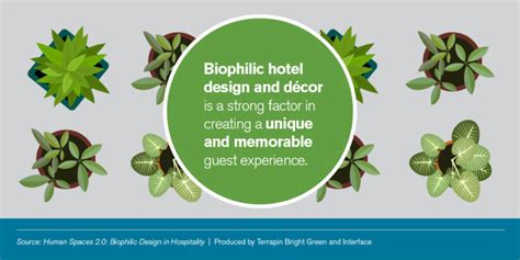 Human Spaces 20 Biophilic Design In Hospitality Terrapin Bright Green