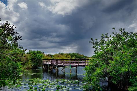 Everglades 0823 Photograph By Rudy Umans Fine Art America